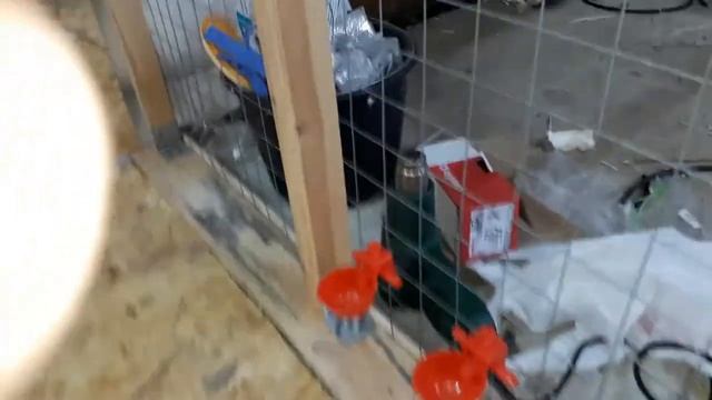 Клетка для козы и теленка. ????? Расширение хозяйства. смотреть онлайн