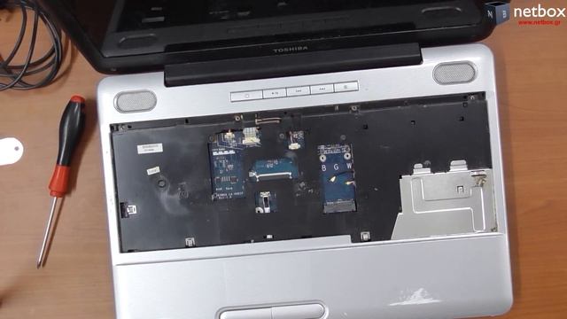 Toshiba Satellite L500 Disassembly смотреть онлайн