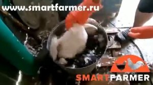 Перосъёмная машина NT 600 МТМ для гусей уток перепелов и кур с доставкой