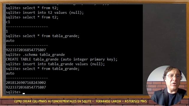 Como crear columnas autoincrementales en SQLite смотреть онлайн