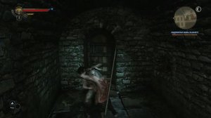 The Witcher 2. Пролог. Подземелья замка Ла Валетт. Ариан, через низ