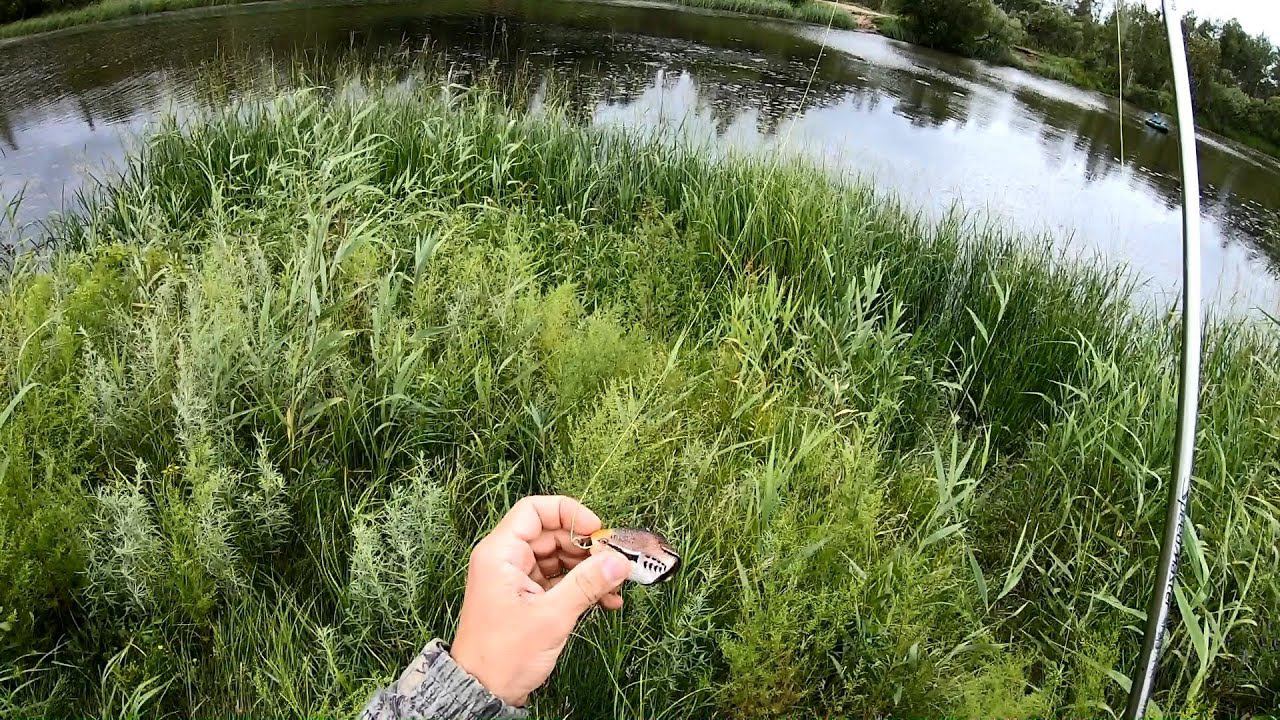 Что можно поймать на ВОРОБЬЯ? Рыбалка на змееголова. Рыбалка на спиннинг. смотреть онлайн