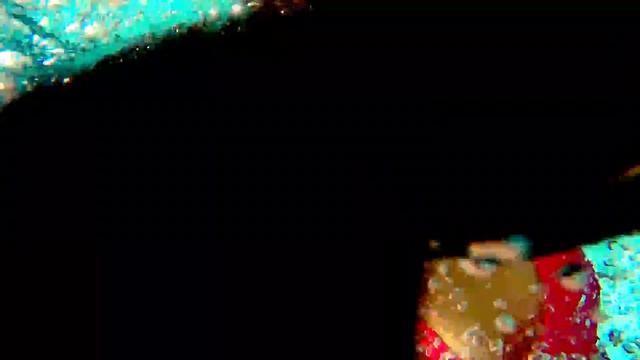 ACQUA FUN - San Candido !!! смотреть онлайн