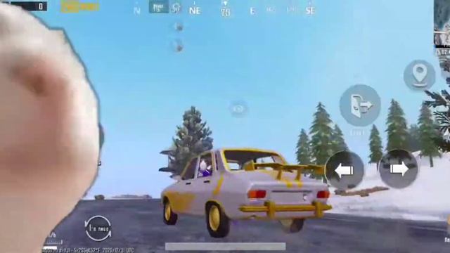 КОТ ТАНЦУЕТ ПОД МУЗЫКУ/ THE CAT DANCES TO THE MUSIC смотреть онлайн