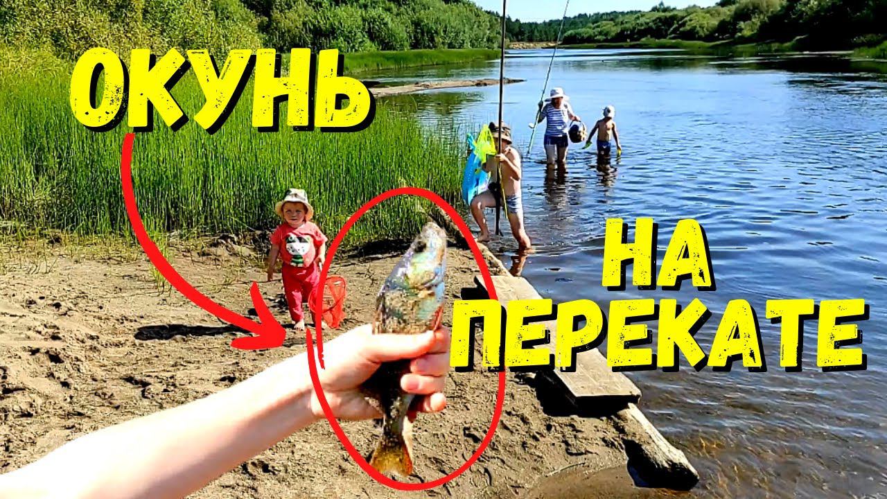 Ловим РЕЧНОГО ОКУНЯ на перекате / Семейная рыбалка в деревне #31 смотреть онлайн