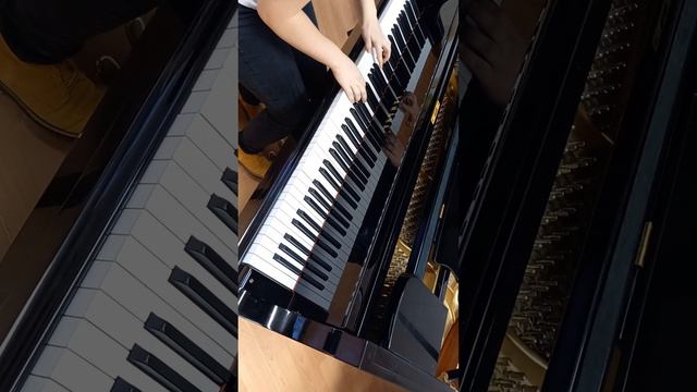 Rammstein - Deutschland outro piano смотреть онлайн