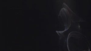 СВЯЗКА АККАУНТОВ НА PS5 | ОБЩИЙ ДОСТУП К КОНСОЛИ И АВТОНОМНАЯ ИГРА | 108 seconds.