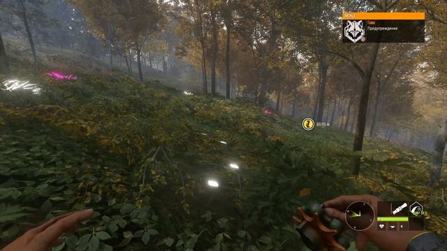 theHunter call of the wild #2 ? - Симулятор фотографа - Оружие: Винтовка, Фотоаппарат смотреть онлайн