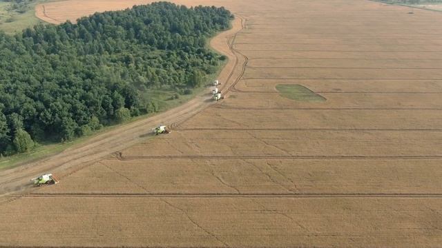 Уборка гороха 2021 (ЗАО Кривское) смотреть онлайн