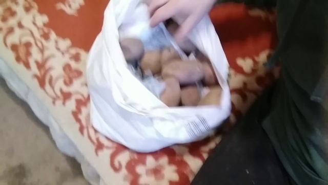 35-серия?ПЕРВЫЙ РАЗ ПРИСЛАЛИ ТАКУЮ ПОСЫЛКУ ,Я УДИВЛЕН / РАСПАКОВКА И ОБЗОР ПОСЫЛКИ ОТ ПОДПИСЧИКОВ смотреть онлайн