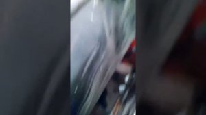 Опель омега а