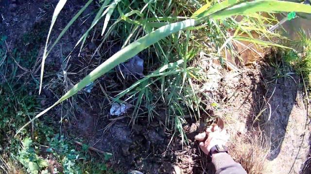 Ловля карася на фидер. смотреть онлайн