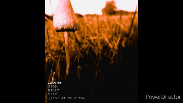 Дарума PROD-magik trip (INST.44LNV BEATZ) смотреть онлайн