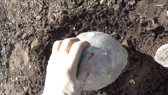Черенкованные растения после зимовки в от гр смотреть онлайн
