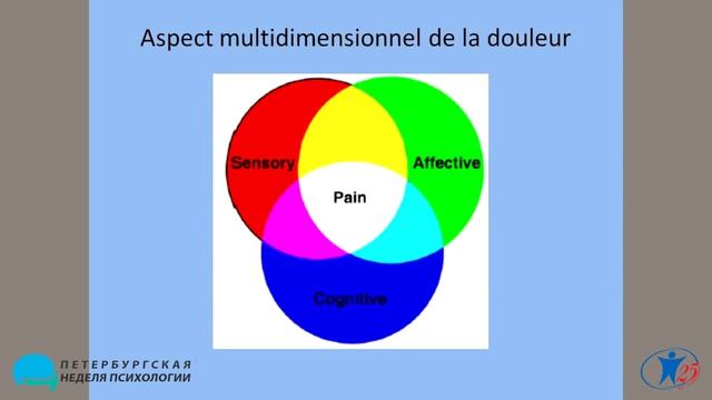 Сознание и мозг под воздействием гипноза. Бруно Суарез. смотреть онлайн
