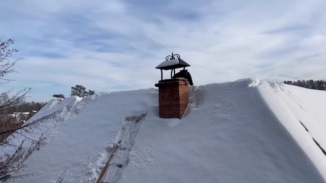 How we got panther Luna from the roof?? смотреть онлайн