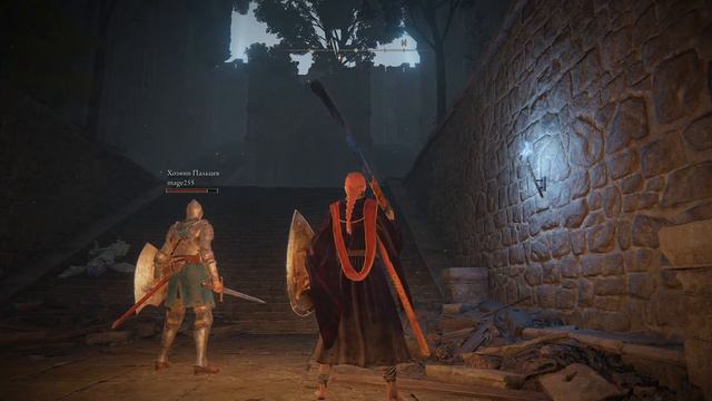 Elden Ring Together и ручки смотреть онлайн