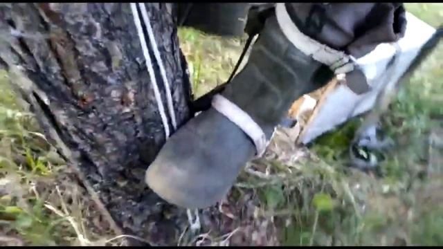 Гаффы   как они работают