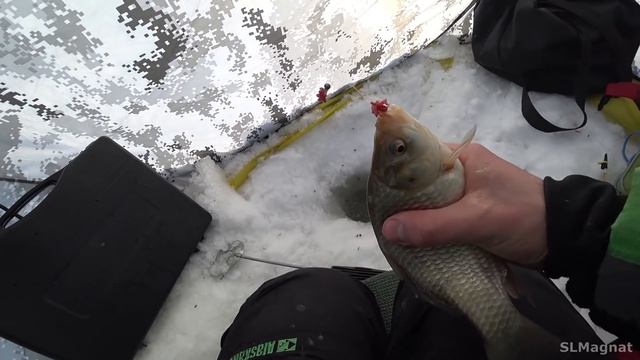 ОГРОМНЫЙ КАРАСЬ поднял ПОПЛАВОК и КИВОК! Зимняя рыбалка 2022