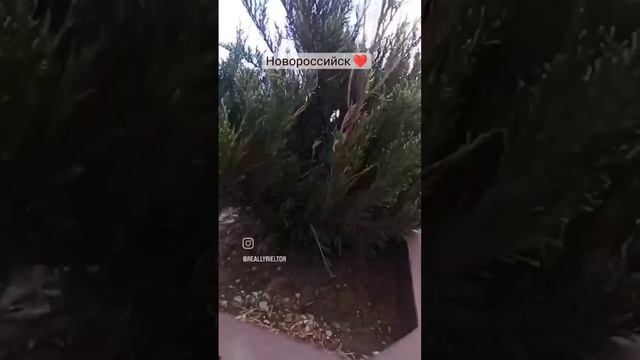 Жилой комплекс с видом на море смотреть онлайн