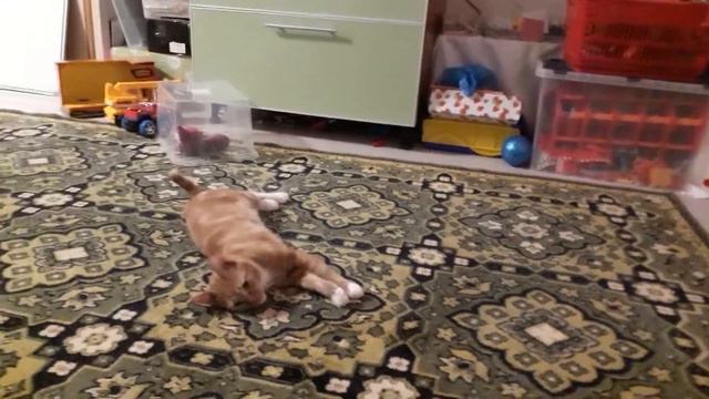 100 к 1 - достанет или нет. часть 1 смотреть онлайн