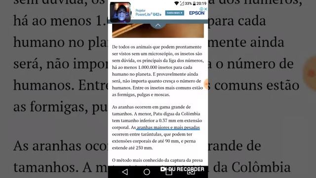 React top 10 mais смотреть онлайн