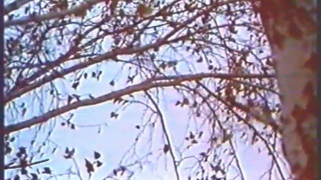 Людмила Туманова - Осенняя прогулка смотреть онлайн