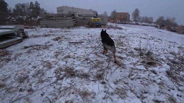 Зимние забавы Федота. смотреть онлайн