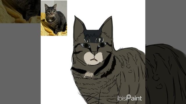 #1 Lets Draw Cat! |speedpaint| смотреть онлайн