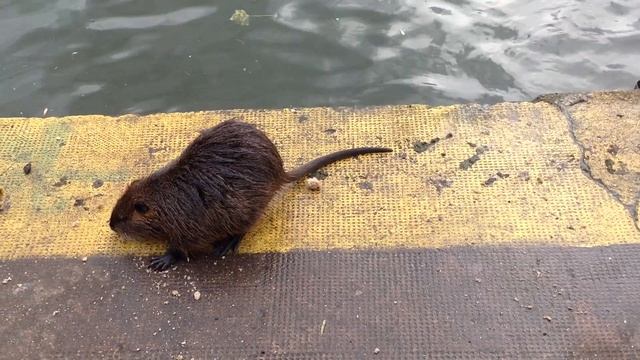 Уборка и творчество