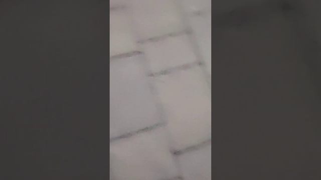 Рыбалка в Ростове на набережной смотреть онлайн