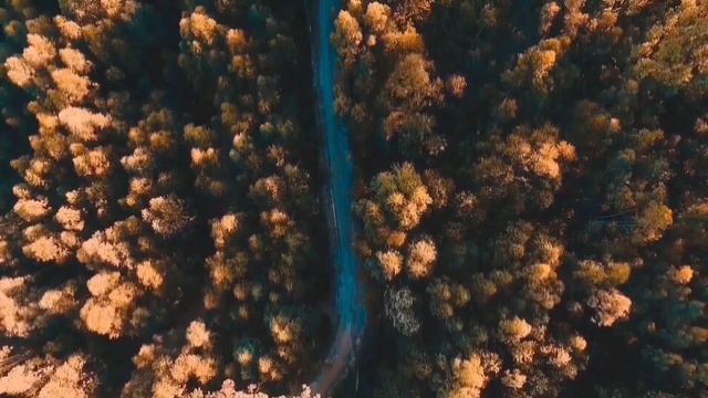 ОЛЬГА УРАЛОЧКА ЛАЙФ. ПИАР ПО ЦЕПОЧКЕ. смотреть онлайн