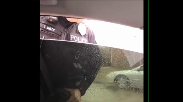 Sovereign Citizen Traffic Fail #18 смотреть онлайн