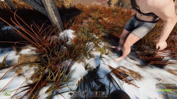 Самая сильная команда в Раст Rust