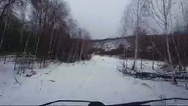 Г а д е л ь ш а смотреть онлайн