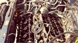 Ford Escape 3.0 AJ Замена цепей