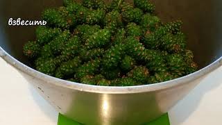 ВАРЕНЬЕ из СОСНОВЫХ ШИШЕК! Шишки сосны способны активировать защитные силы организма. Вкусно!.mp4 смотреть онлайн