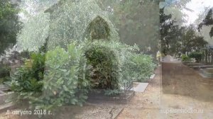 Русское кладбище в Сент-Женевьев-де-Буа Sainte Genevieve des Bois Russian Сemetery / Cimetière Russ