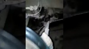 Причина и устранения скрипач передней подвески поло.