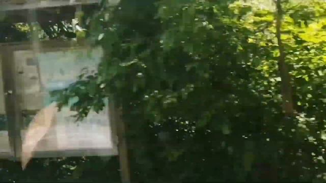 Home Depot & the Scenery of The Falconwood смотреть онлайн