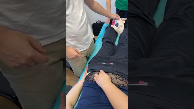 Техника на крестцовом сплетение | Доктор Ерохов | ВЕШО смотреть онлайн