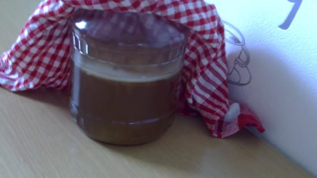 Как вырастить чайный гриб с нуля в домашних условиях- уход, размножение смотреть онлайн