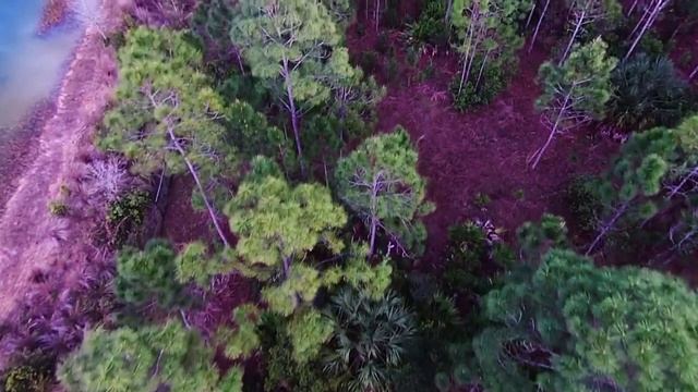 До 40-го дня они среди нас смотреть онлайн