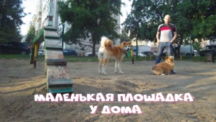 Маленькая собачья площадка у нашего дома. смотреть онлайн