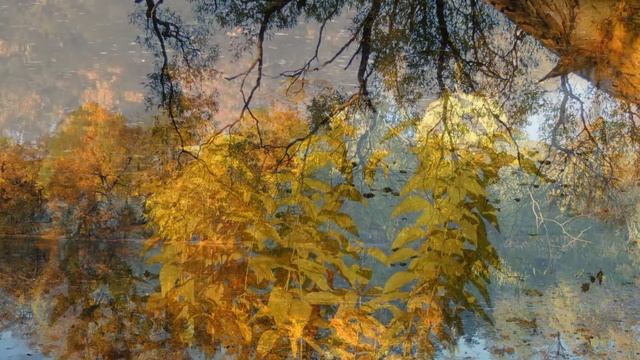 В старом парке у пруда смотреть онлайн