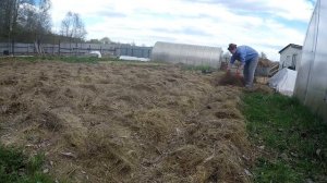 Посадка картошки под сено