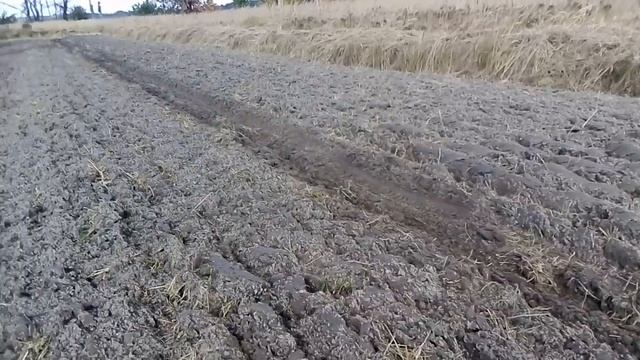 Оранка в розгін Мотоблок МТЗ 12 | Техніка та обладнання полісся смотреть онлайн