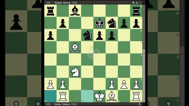 Salov, Valery vs Siegel, Georg || EU-ch U20, Groningen 1981 @chessbuddies 🔴 #ValerySalov смотреть онлайн