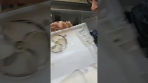 Холодильник САМСУНГ RL 33.Узнаем поломку