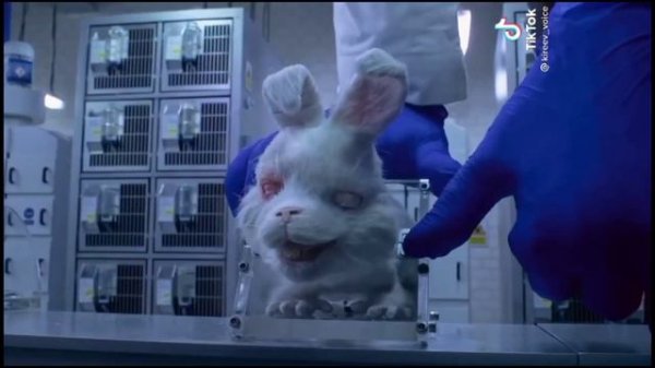 Кролик Ральф, Спасти Ральфа, Save Ralph